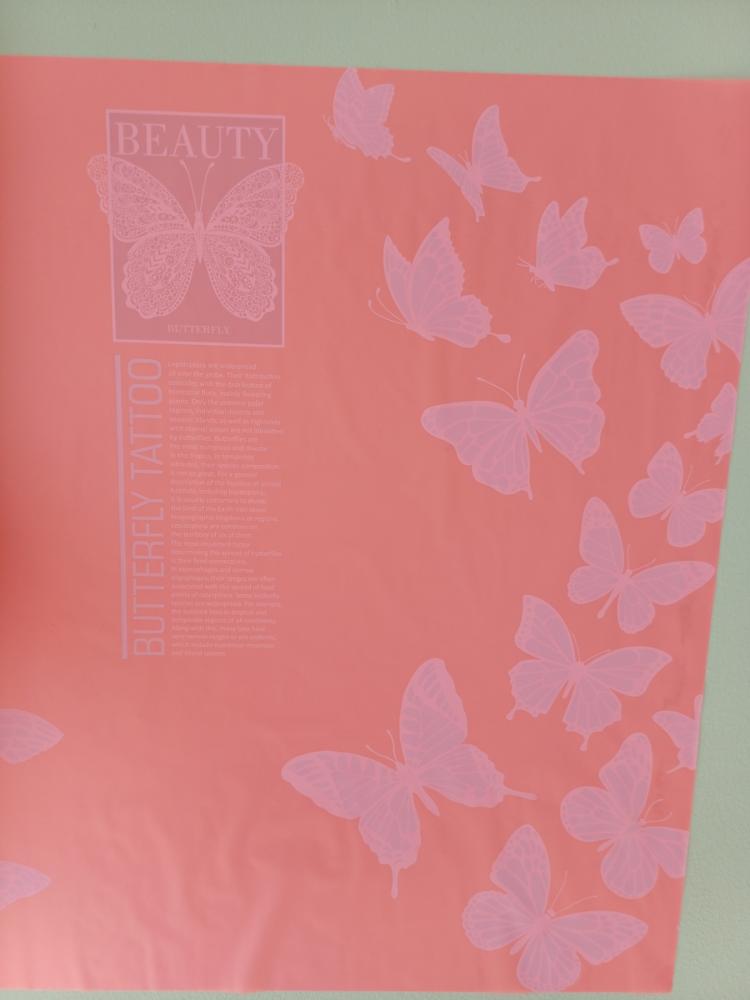 Пленка Матовая " Beauty" 60 см*10 м, Лосось - фото1