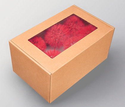 Набор сухоцветов "Одуванчик", 6 шт. в наборе, диаметр цветка 10 см, красный. - фото1