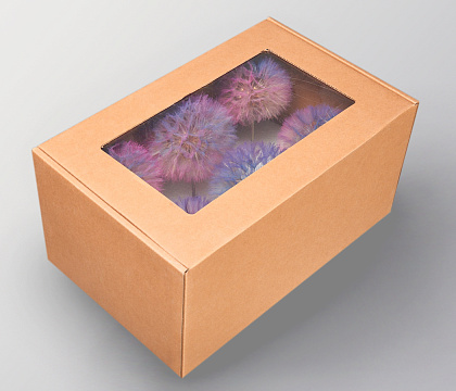 Набор сухоцветов "Одуванчик", 6 шт. в наборе, диаметр цветка 10 см, мультиколор - фото1