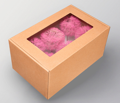 Набор сухоцветов "Одуванчик", 6 шт. в наборе, диаметр цветка 10 см, розовый - фото1