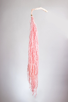 Сухоцвет "Амарантус", длина 80-100 см, 5 шт. св.розовый - фото1