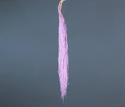 Сухоцвет "Амарантус", длина 80-100 см, 5 шт. сиреневый - фото1