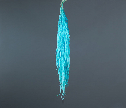 Сухоцвет "Амарантус", длина 90-110 см, 5 шт. Тиффани - фото1