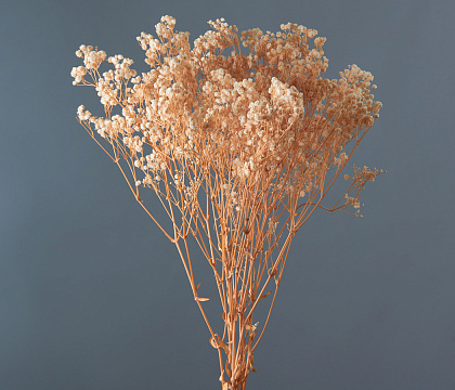 Сухоцвет "Гипсофила", длина 70-80 см, 120 гр/упак., бежевый - фото1
