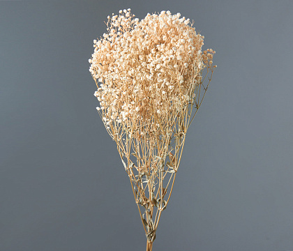 Сухоцвет "Гипсофила", длина 70-80 см, 120 гр/упак., белый. - фото1