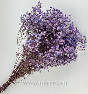 Сухоцвет "Гипсофила", длина 70-80 см, 120 гр/упак., лавандовый. - фото1 Сухоцвет "Гипсофила", длина 70-80 см, 120 гр/упак., лавандовый. - фото1