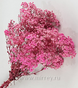 Сухоцвет "Гипсофила", длина 70-80 см, 120 гр/упак., насыщенный розовый. - фото1 Сухоцвет "Гипсофила", длина 70-80 см, 120 гр/упак., насыщенный розовый. - фото1