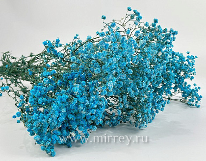 Сухоцвет "Гипсофила", длина 70-80 см, 120 гр/упак., небесно-голубой. - фото1 Сухоцвет "Гипсофила", длина 70-80 см, 120 гр/упак., небесно-голубой. - фото1