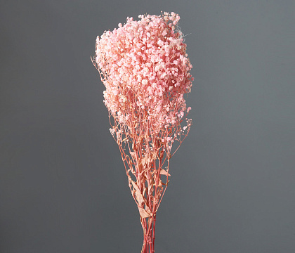 Сухоцвет "Гипсофила", длина 70-80 см, 120 гр/упак., светло-розовый. - фото1 Сухоцвет "Гипсофила", длина 70-80 см, 120 гр/упак., светло-розовый. - фото1