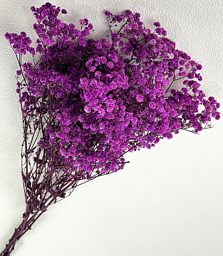 Сухоцвет "Гипсофила", длина 70-80 см, 120 гр/упак., сиреневый - фото1 Сухоцвет "Гипсофила", длина 70-80 см, 120 гр/упак., сиреневый - фото1