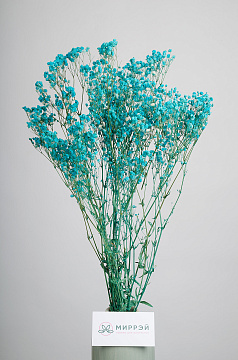 Сухоцвет "Гипсофила", длина 70-80 см, 120 гр/упак., тиффани - фото1 Сухоцвет "Гипсофила", длина 70-80 см, 120 гр/упак., тиффани - фото1