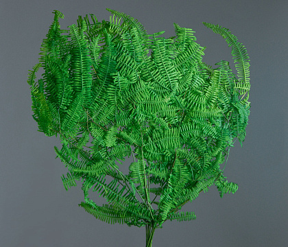 Сухоцвет "Горный папоротник", длина 50 см, 30-40 гр/упак, зеленый - фото1 Сухоцвет "Горный папоротник", длина 50 см, 30-40 гр/упак, зеленый - фото1