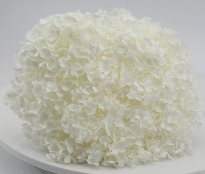 Сухоцвет "Гортензия" длина 60-70 см, диаметр цветка 20 см, 50-60 гр. Шампань - фото1 Сухоцвет "Гортензия" длина 60-70 см, диаметр цветка 20 см, 50-60 гр. Шампань - фото1