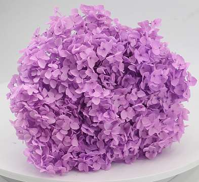 Сухоцвет "Гортензия", длина 60-70 см,диаметр цветка 20 см, сиреневый - фото1 Сухоцвет "Гортензия", длина 60-70 см,диаметр цветка 20 см, сиреневый - фото1