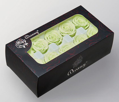 Сухоцвет "Роза" класса А, 4 см, 10 шт/упак., светло-зеленый - фото1 Сухоцвет "Роза" класса А, 4 см, 10 шт/упак., светло-зеленый - фото1