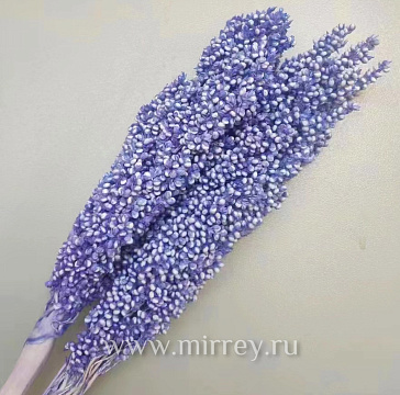 Сухоцвет "Сорго", длина 70-80 см, 130-180гр/упак.св.сиреневый - фото1 Сухоцвет "Сорго", длина 70-80 см, 130-180гр/упак.св.сиреневый - фото1