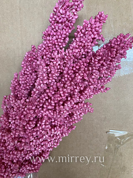 Сухоцвет "Сорго", длина 70-80 см. 130-180 гр./упак. насыщ.розовый - фото1 Сухоцвет "Сорго", длина 70-80 см. 130-180 гр./упак. насыщ.розовый - фото1