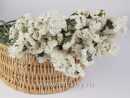 Сухоцвет "Статица", 120 гр/упак., белый - фото1 Сухоцвет "Статица", 120 гр/упак., белый - фото1