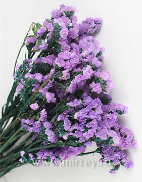 Сухоцвет "Статица", 120 гр/упак., лавандовый - фото1 Сухоцвет "Статица", 120 гр/упак., лавандовый - фото1