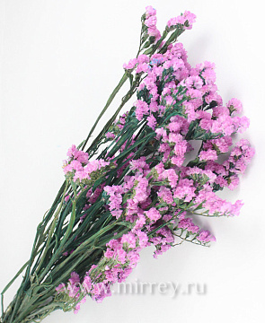 Сухоцвет "Статица", 120 гр/упак., розовый - фото1 Сухоцвет "Статица", 120 гр/упак., розовый - фото1