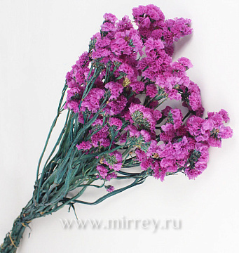 Сухоцвет "Статица", 120 гр/упак., сиреневый - фото1 Сухоцвет "Статица", 120 гр/упак., сиреневый - фото1