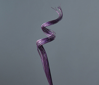 Сухоцвет "Тинг витой, 20 шт/упак., длина - 40 см, фиолетовый - фото1 Сухоцвет "Тинг витой, 20 шт/упак., длина - 40 см, фиолетовый - фото1