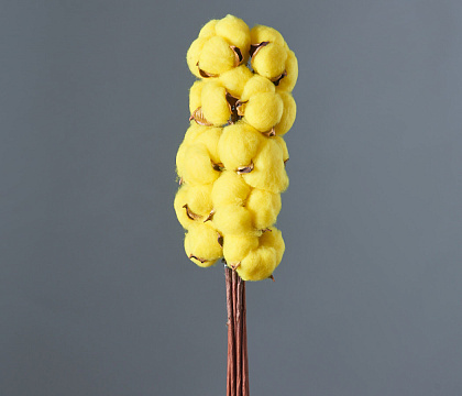 Сухоцвет "Хлопок" 10 шт./упак., желтый - фото1 Сухоцвет "Хлопок" 10 шт./упак., желтый - фото1