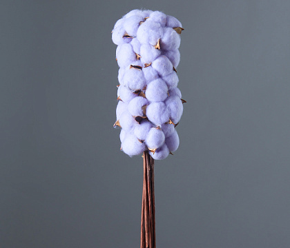 Сухоцвет "Хлопок" 10 шт./упак., лавандовый - фото1 Сухоцвет "Хлопок" 10 шт./упак., лавандовый - фото1