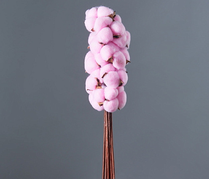 Сухоцвет "Хлопок" 10 шт./упак., нежно-розовый. - фото1 Сухоцвет "Хлопок" 10 шт./упак., нежно-розовый. - фото1