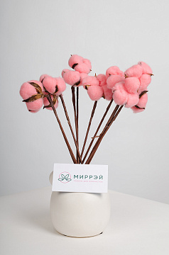 Сухоцвет "Хлопок" 10 шт./упак., Розовый. - фото1 Сухоцвет "Хлопок" 10 шт./упак., Розовый. - фото1