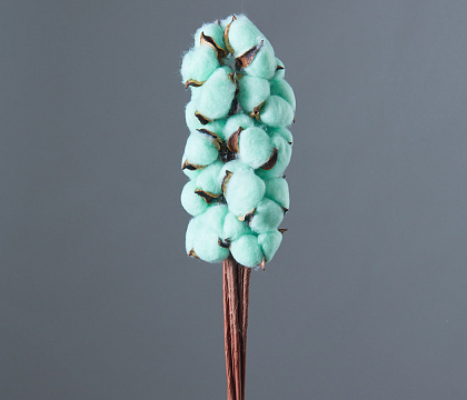 Сухоцвет "Хлопок" 10 шт./упак., светло-фисташковый - фото1 Сухоцвет "Хлопок" 10 шт./упак., светло-фисташковый - фото1