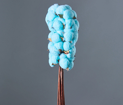 Сухоцвет "Хлопок" 10 шт./упак., тиффани - фото1 Сухоцвет "Хлопок" 10 шт./упак., тиффани - фото1