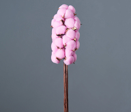 Сухоцвет "Хлопок" 10 шт./упак., ультра-розовый - фото1 Сухоцвет "Хлопок" 10 шт./упак., ультра-розовый - фото1