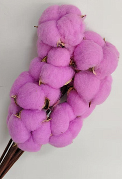 Сухоцвет "Хлопок" 10 шт./упак., фуксия - фото1 Сухоцвет "Хлопок" 10 шт./упак., фуксия - фото1