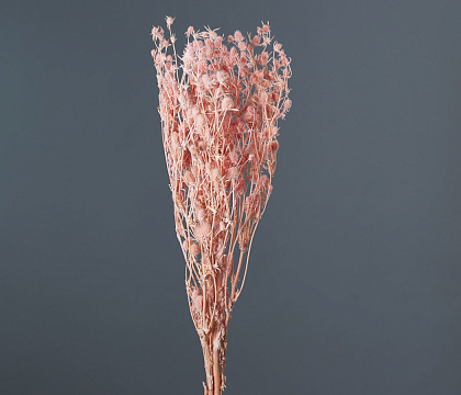 Сухоцвет "Эрингиум", 100 гр/упак., розовый - фото1 Сухоцвет "Эрингиум", 100 гр/упак., розовый - фото1