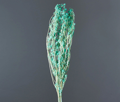 Сухоцвет "Эрингиум", 100 гр/упак.,тиффани - фото1 Сухоцвет "Эрингиум", 100 гр/упак.,тиффани - фото1