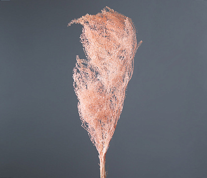 Сухоцвет "Ярутка" длина 60-70 см, 70-80 гр/упак, розовый - фото1 Сухоцвет "Ярутка" длина 60-70 см, 70-80 гр/упак, розовый - фото1