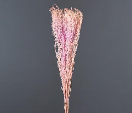 Сухоцвет "Ярутка" длина 60-70 см, 70-80 гр/упак, сиреневый - фото1 Сухоцвет "Ярутка" длина 60-70 см, 70-80 гр/упак, сиреневый - фото1