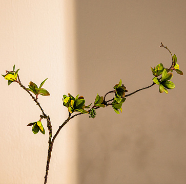 Ветка декоративная гибкая с листиками и ягодами 60 см, 1 шт., зеленый - фото1