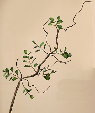 Ветка декоративная гибкая с листьями 80 см, 1 шт., зеленый - фото1