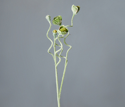 Ветка искусственная декоративная "Коробочки мака" 65 см, 1 шт. - фото1