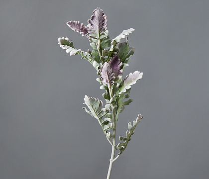 Ветка искусственная декоративная "Крестовник пепельный" 76 см, 1 шт., розовато-зеленый - фото1