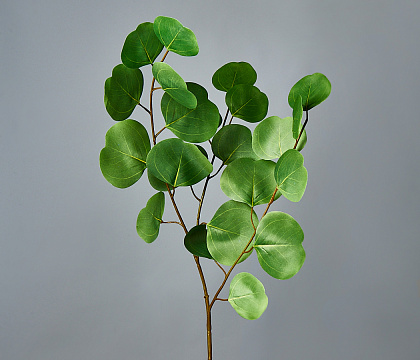 Ветка искусственная декоративная "Эвкалипт Цинерия" 84 см, 1 шт., зеленый - фото1