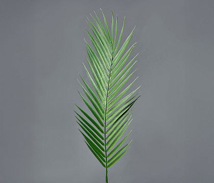 Искусственная декоративная ветка Пальмовый лист 90*17, 1 шт., зеленый - фото1
