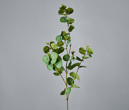Искусственная декоративная ветка Эвкалипта 88*22, 1 шт., зеленый - фото1