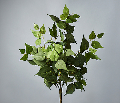 Искусственный декоративное растение "Сциндапсус" 65 см, 1 шт. - фото1