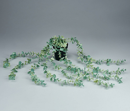 Искусственный декоративное растение в горшке "Эвкалипт" H60*12 см, 1 шт. - фото1