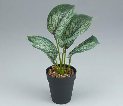 Искусственный декоративный цветок в горшке "Калатея" H29*30 см, 1 шт. - фото1