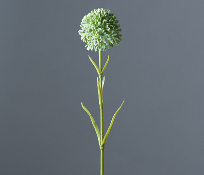 Цветок искусственный декоративный ''Аллиум" 46*6 см, 1 шт., зеленый - фото1