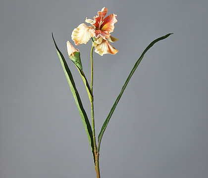 Цветок искусственный декоративный ''Ирис" 85*20 см, 1 шт., светло-персиковый - фото1